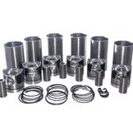 Conjunto de motor completo Weichai